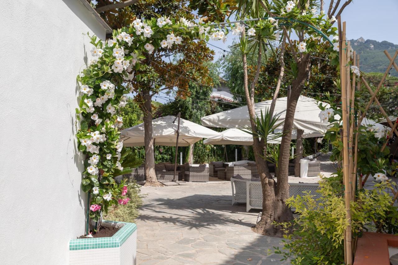Hotel San Francesco Форио Экстерьер фото